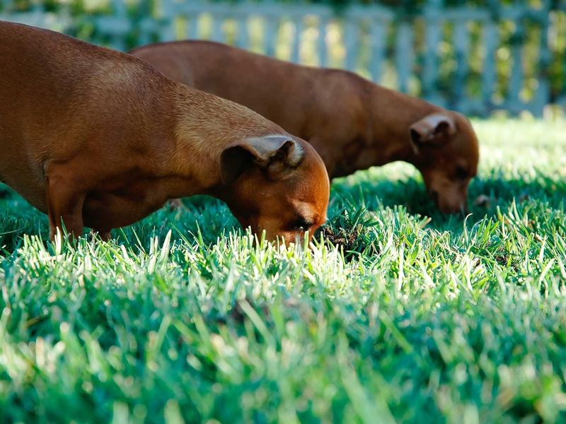 sudoku memory improvement screenshot 3